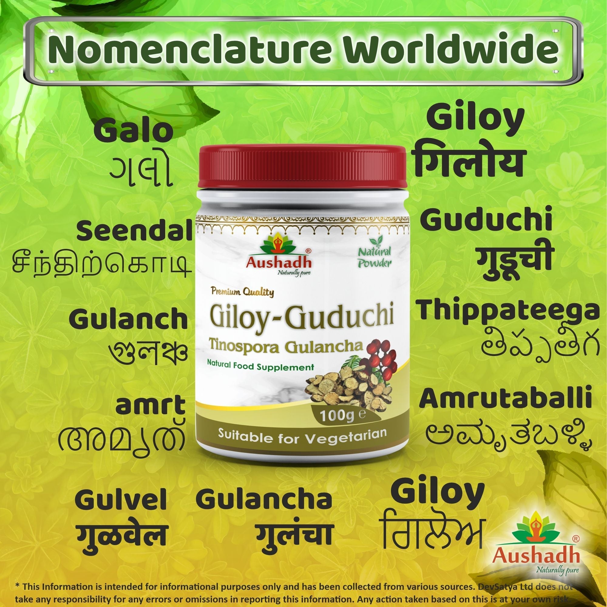 Aushadh Guduchi Powder 100 gram - Daily Wellness Support