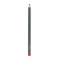 Mind Eraser Lip Liner